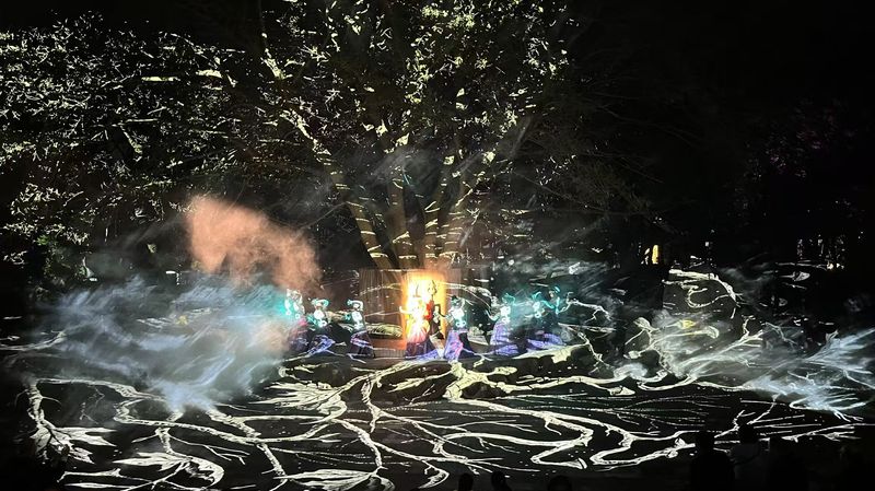 贵州安顺-黄果树瀑布夜游陡坡塘